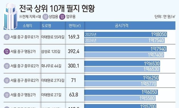 [그래픽] 전국 상위 10개 필지 현황