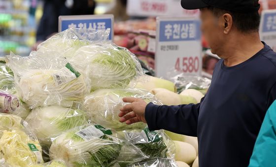 겨울 배추·무값, 평년대비 최대 180% 상승