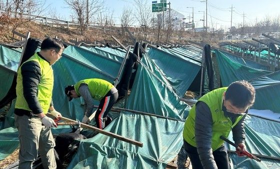 농협경제지주, 경기 이천시 폭설 피해농가 복구 지원