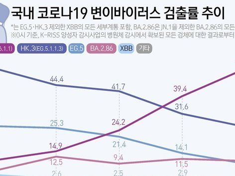 [그래픽] 국내 코로나19 변이바이러스 검출률 추이