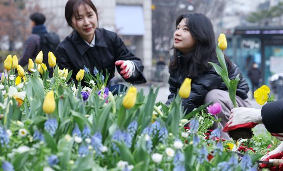 '봄소식 찾아온 화단'