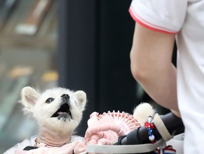 봄비 그치고 다시 초여름 더위