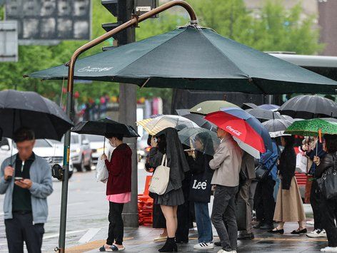 봄비 내리는 출근길