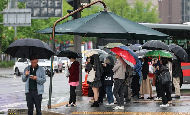 봄비 내리는 출근길