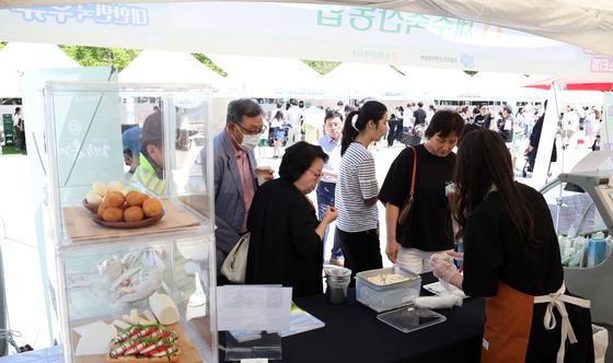 '제주 치즈 맛있어요'