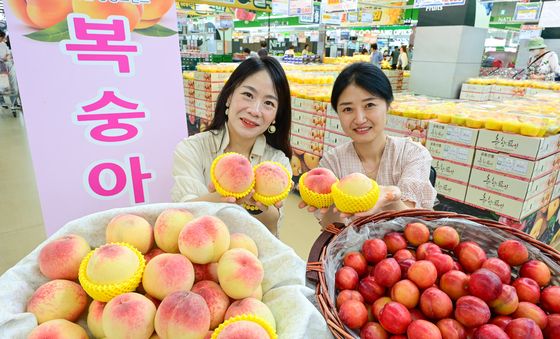 제철 여름 과일 복숭아와 자두 맛보세요