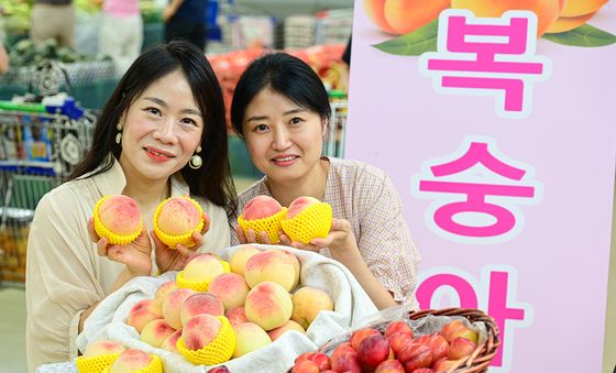 농협유통, '제철 여름 과일 복숭아와 자두 드세요'