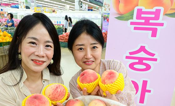 농협유통, 제철 여름 과일 복숭아와 자두 맛보세요