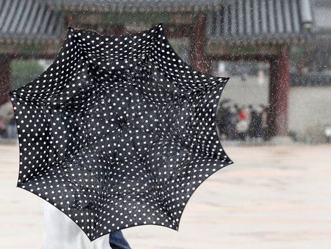 '뒤집힌 내 우산'