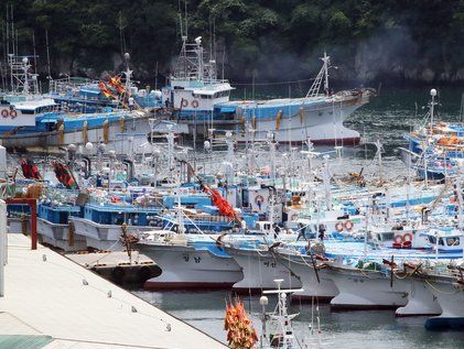 중국 북상 태풍 피해 돌아온 어선들