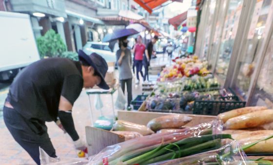 채소 가격, 장마철 '들썩'