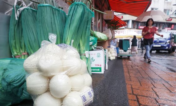 장마철만 되면 '껑충'… 야속한 채솟값