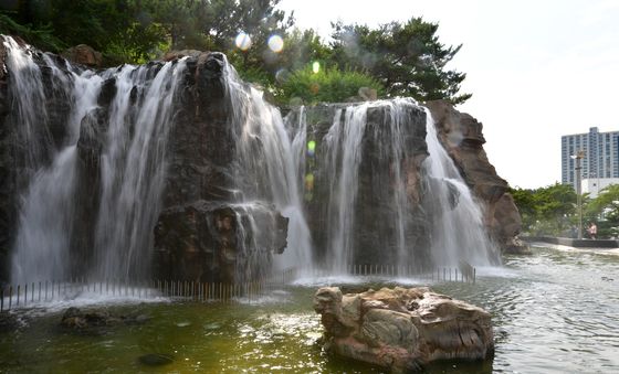 녹조 발생한 환호공원 인공폭포