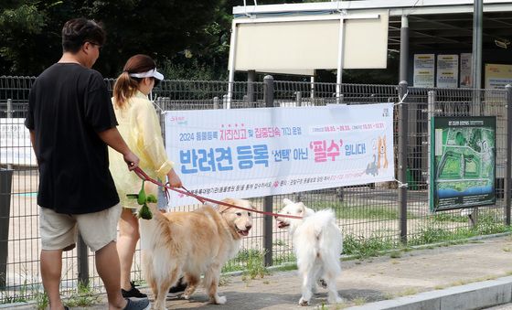 반려견 등록은 '선택 아닌 필수'