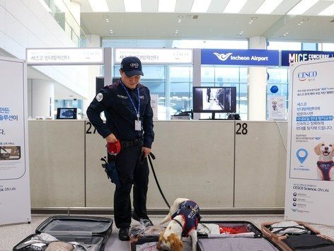 K-방역 명 받은 빈대탐지견 세코, 공항 관문 막는다