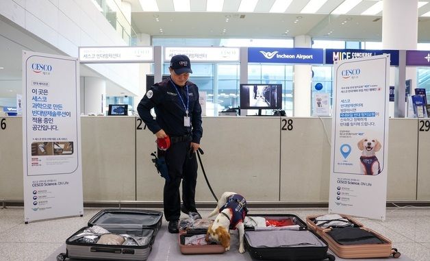 K-방역 명 받은 빈대탐지견 세코, 공항 관문 막는다