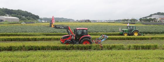 트랙터로 논 갈아엎는 농민