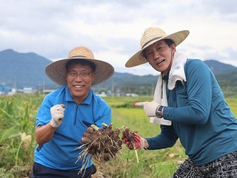 토란 수확 나선 조국·박웅두