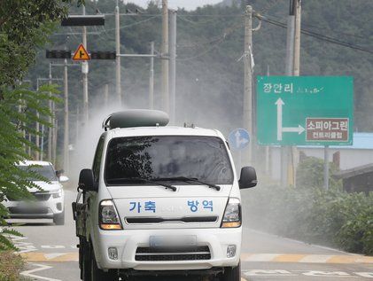 여주시 한우농가서 럼피스킨 발생…올해 네번째 확진