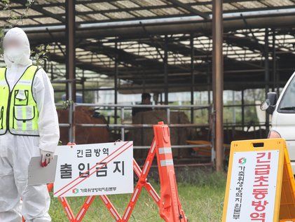 통제되고 있는 여주 럼피스킨 발생 농가