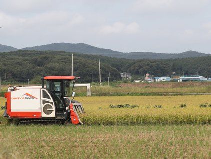 추분 앞두고 가을걷이