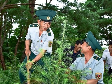 북한 "푸른 숲 가꾸기는 조국의 내일"…산림감독원 조명