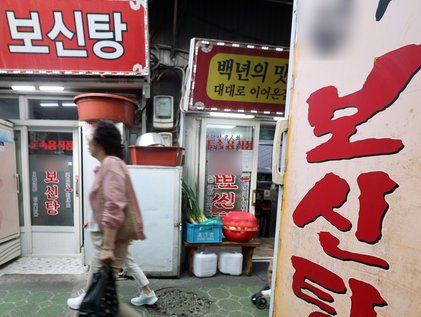 개식용종식 기본계획 발표…적막한 보신탕 거리