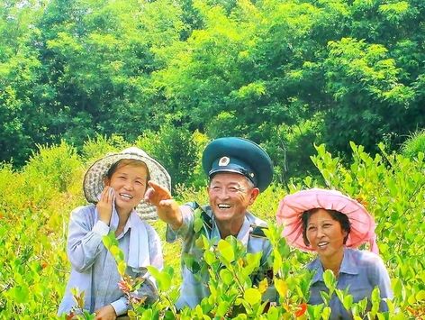 北 만경대구역 산림감독원 "보답의 일념 안고 산림초소 지켜"