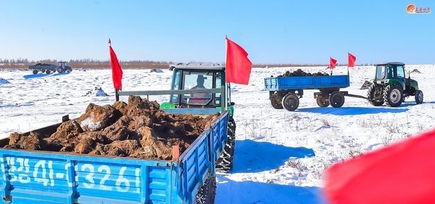 北 삼지연시 소백산 농장 '거름 실어내기' 현장