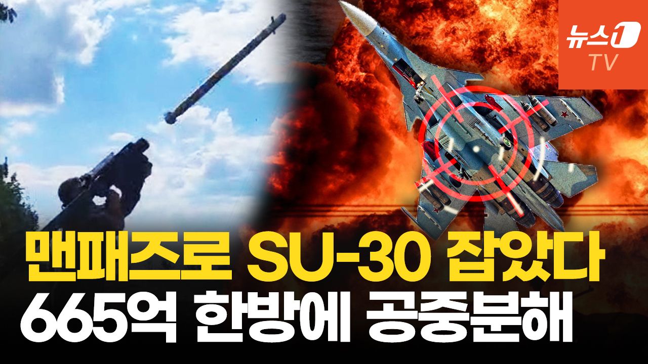 우크라에 미사일 퍼붓던 SU-30...맨페즈에 뒤통수 맞고 흑해로 추락