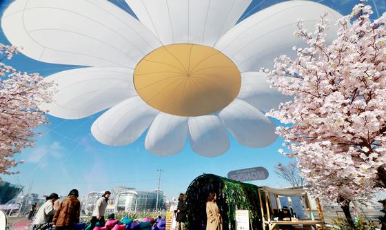 겨울에 찾아온 '봄'