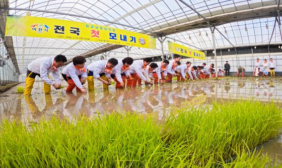 이천시 전국 첫 모내기